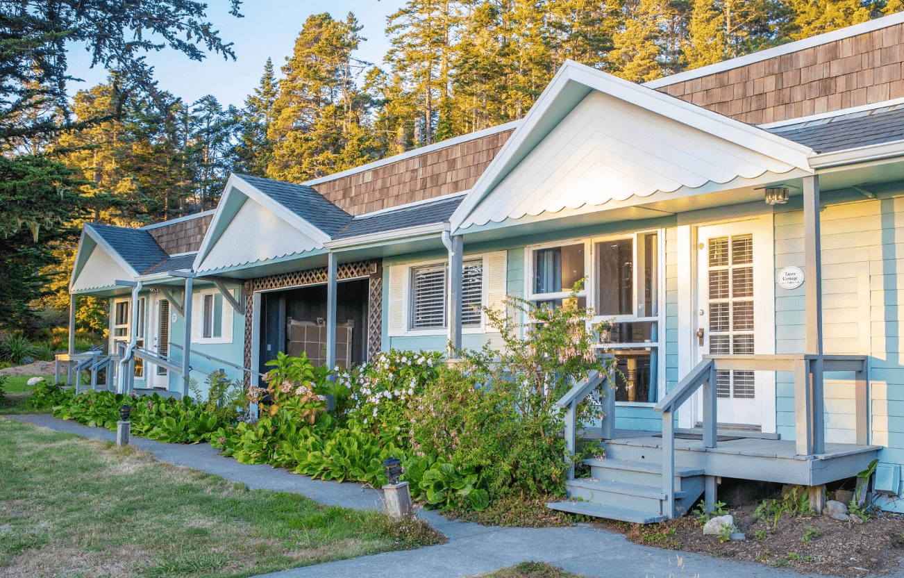 Tansy exterior