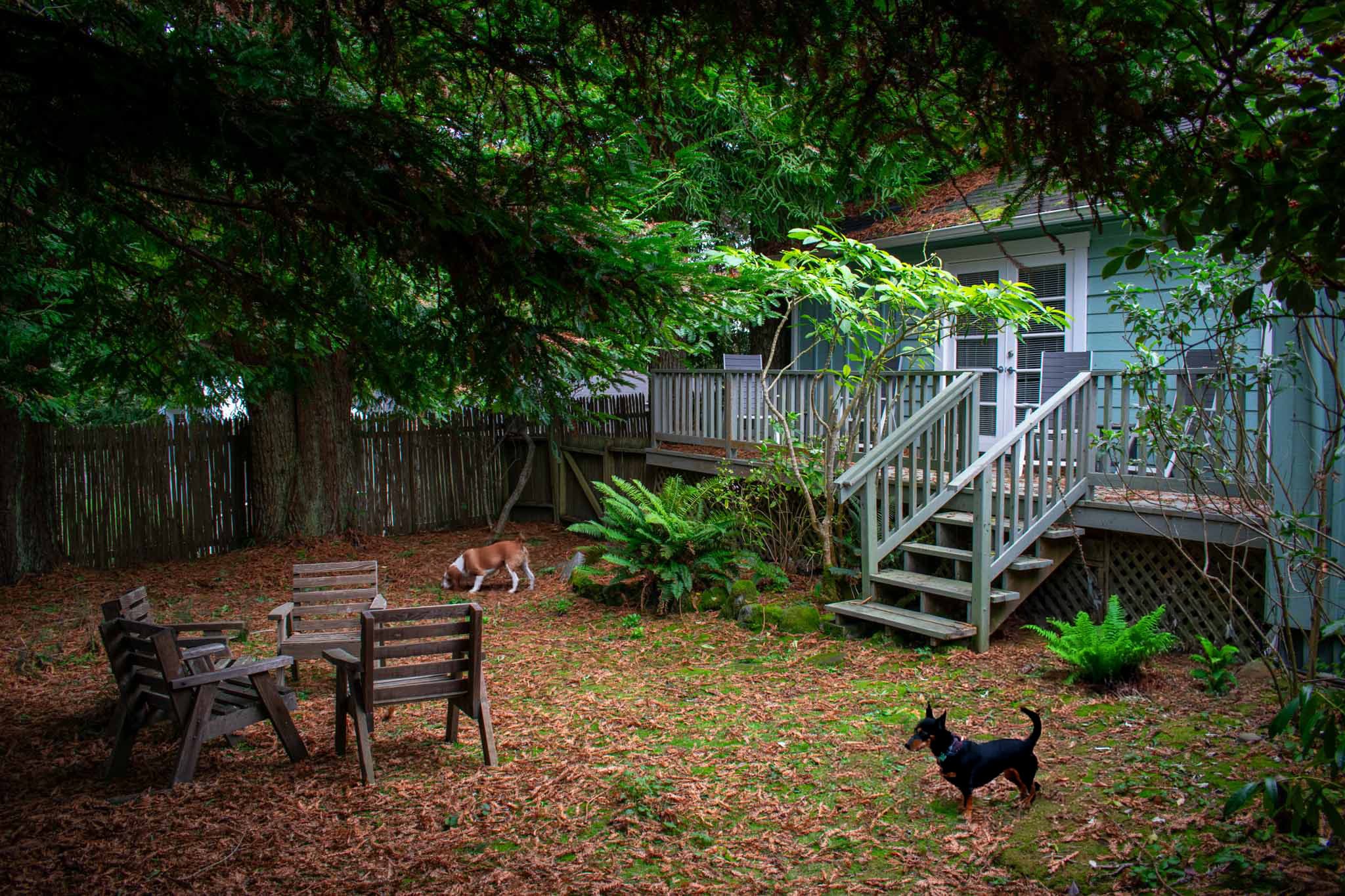 Expansive backyard perfect for pets or kids to run around