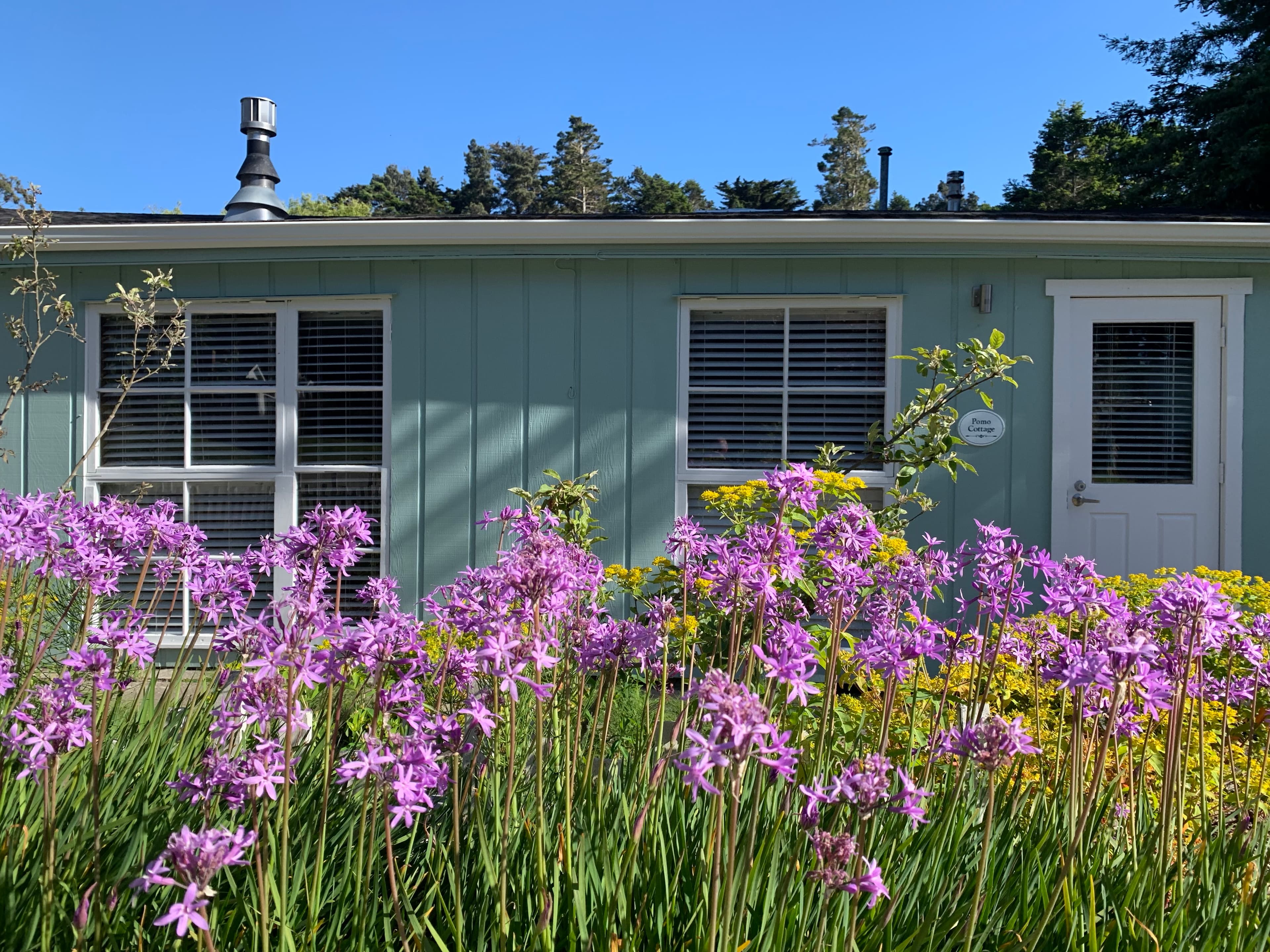 A small, light blue house with white trim and a white door, surrounded by colorful flowers.