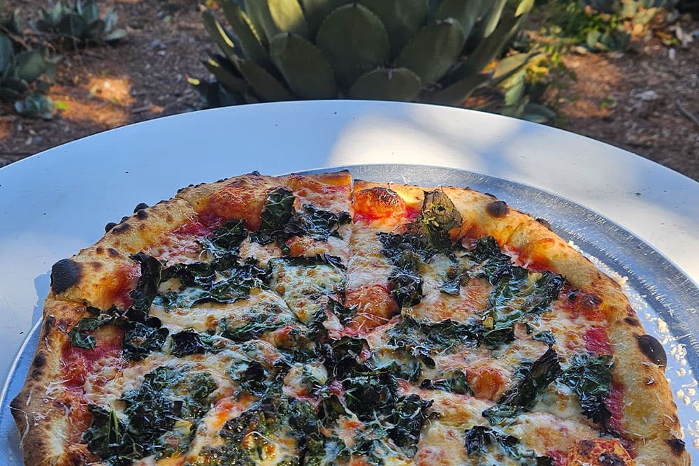 A close-up of a sliced pizza topped with cheese and kale on a table with plants in the background.