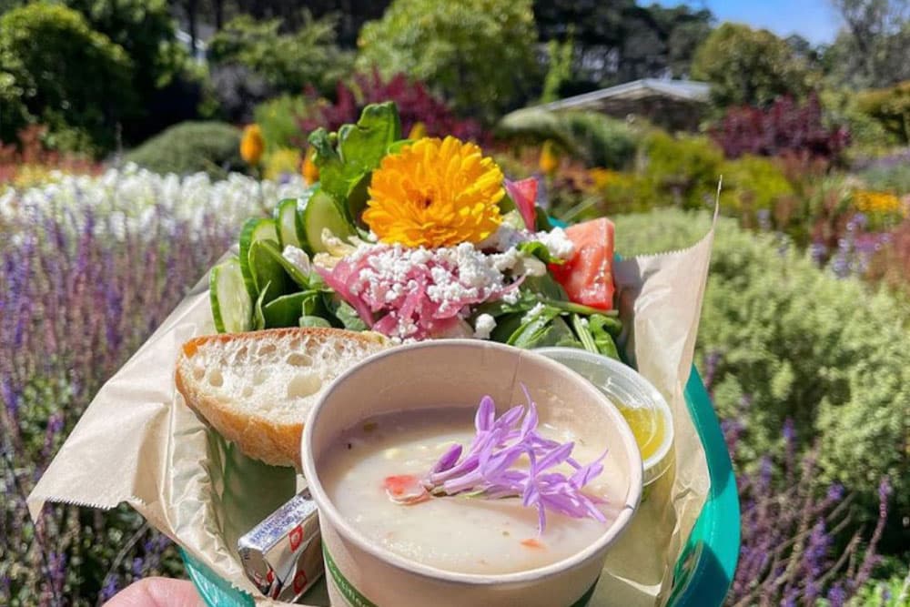 A hand holds a bowl of soup topped with flowers, alongside a colorful salad and slice of bread, set against a lush garden backdrop.