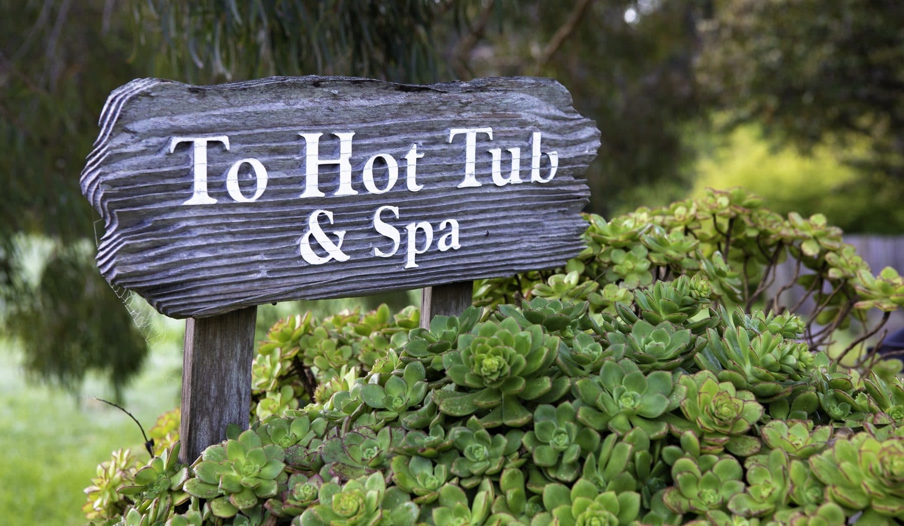 Wooden sign directing to a hot tub and spa, surrounded by greenery.