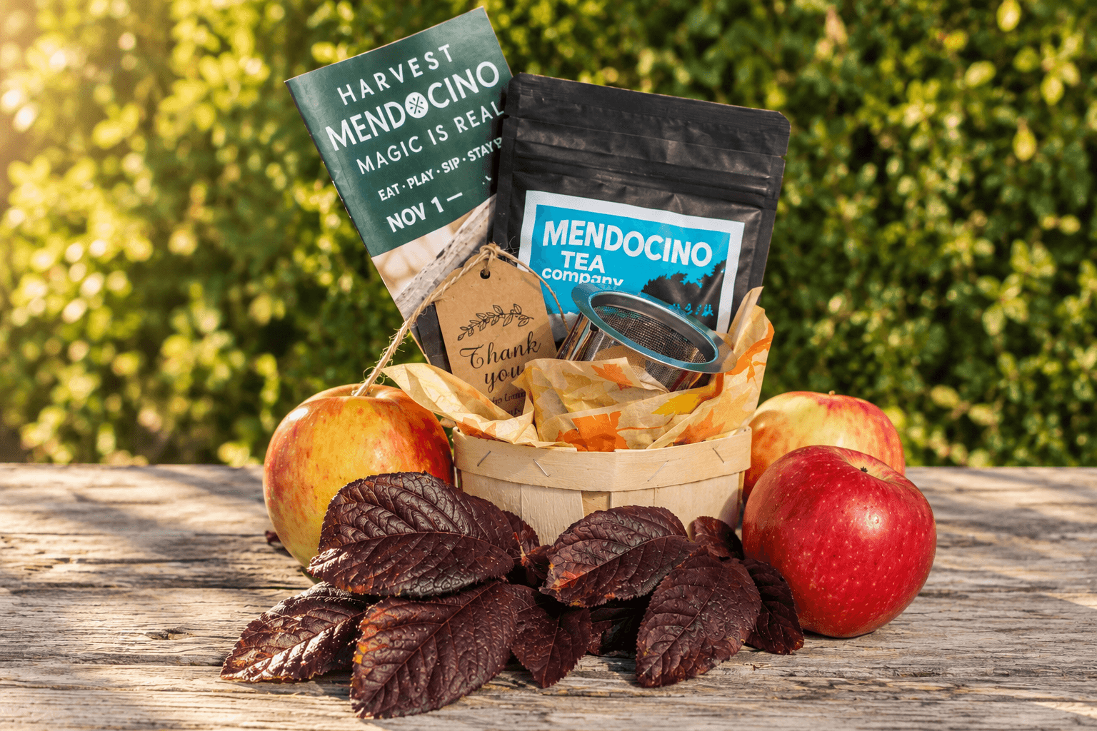 A basket filled with leaves, a tea packet, and apples, with two cards displaying text related to Mendocino's harvest event.