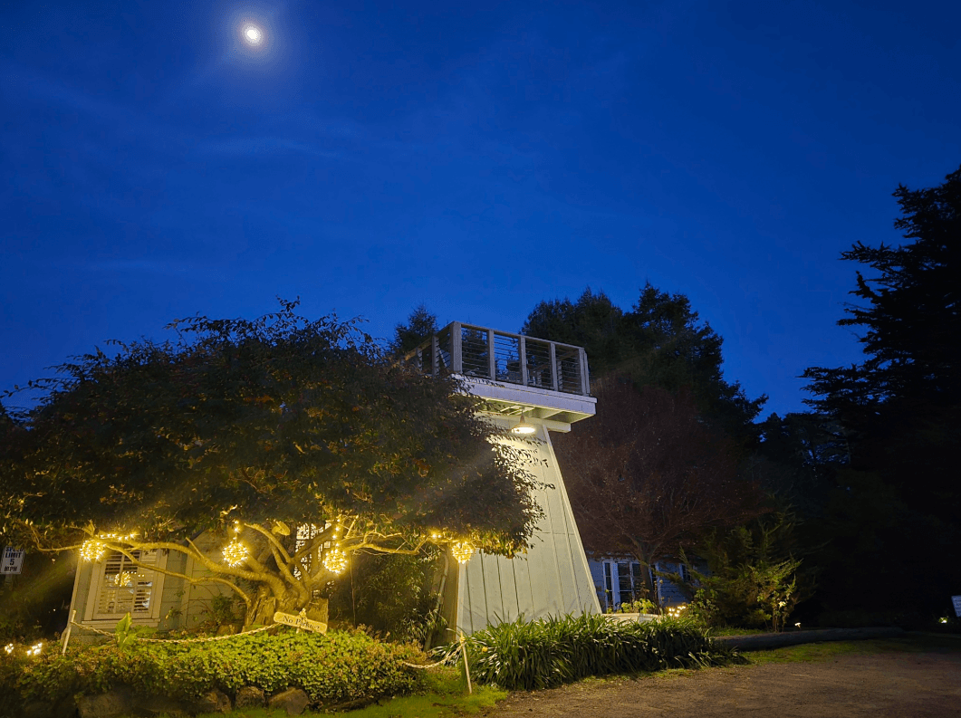 A house with a unique architectural design is illuminated by string lights under a moonlit sky.