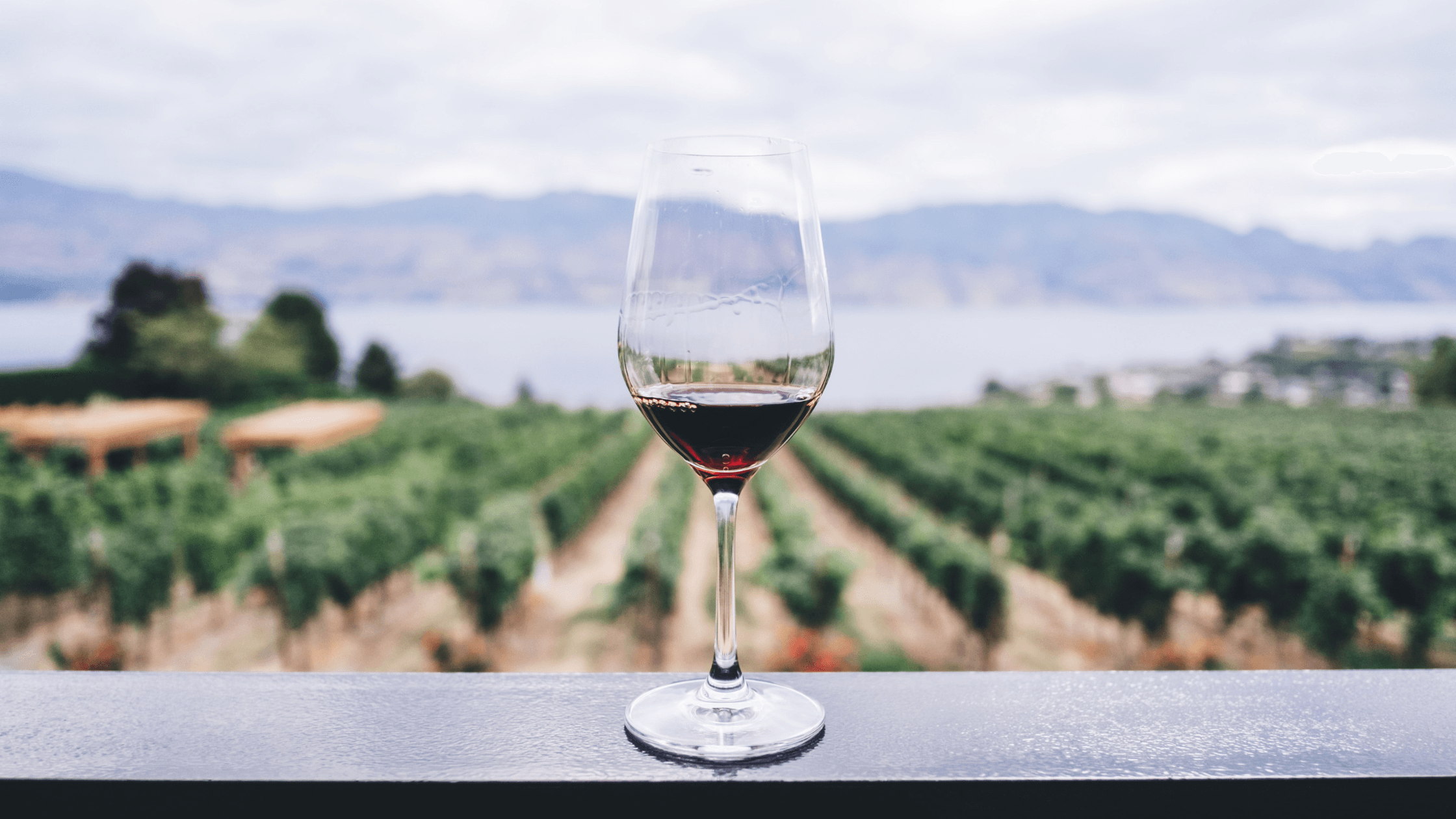 A glass of red wine sits on a railing overlooking a lush vineyard and mountains in the distance.