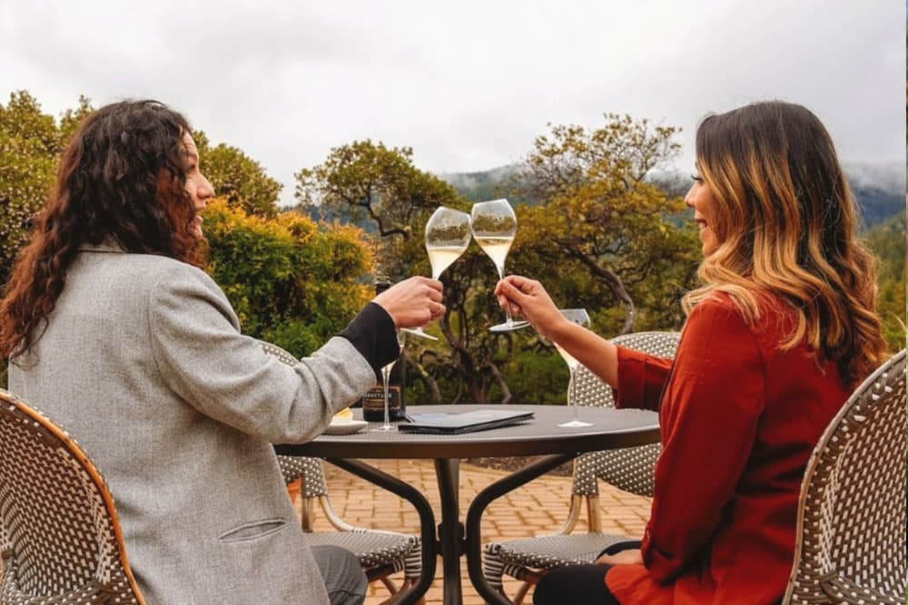 Two women toast with wine glasses at an outdoor table surrounded by greenery.