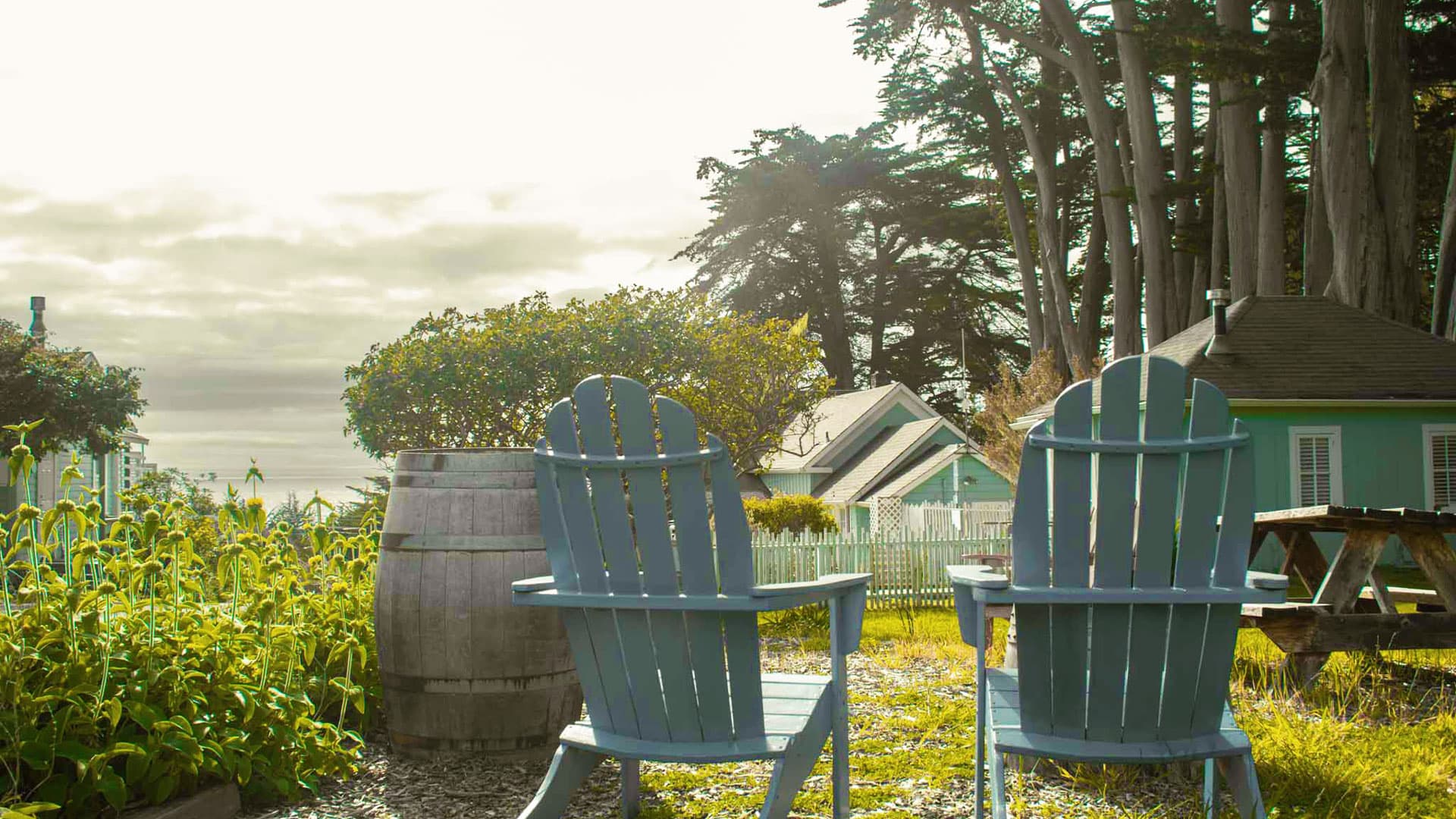Scenic outdoor view with picnic tables, surrounded by lush greenery and tall trees, in a peaceful natural setting.